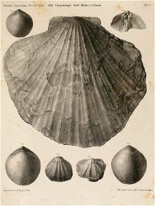 n368_w1150