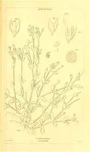 n606_w1150