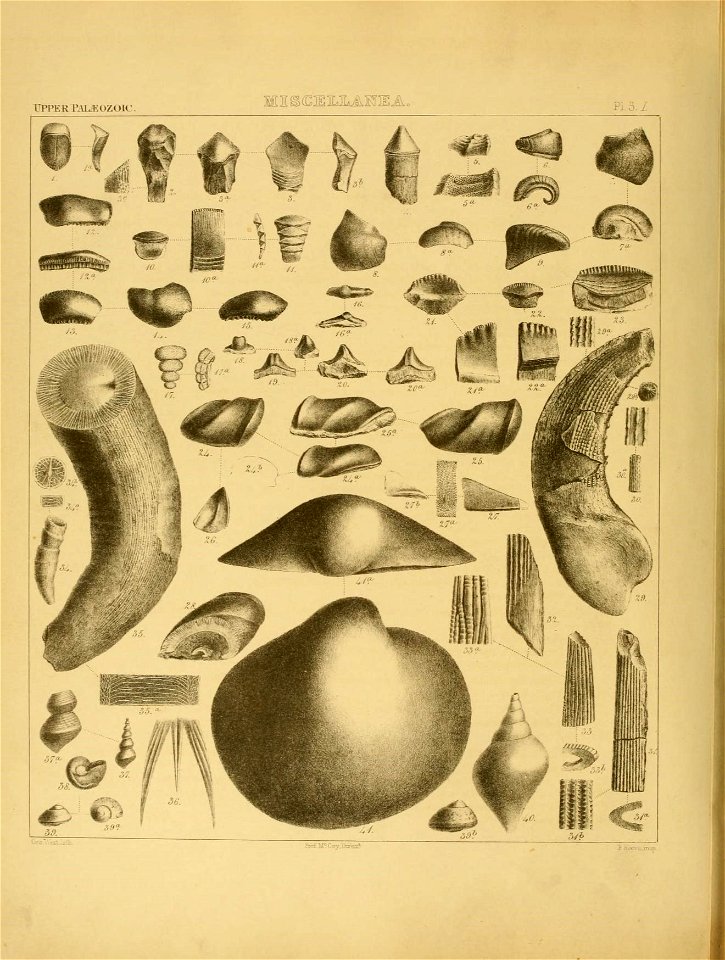 n105_w1150