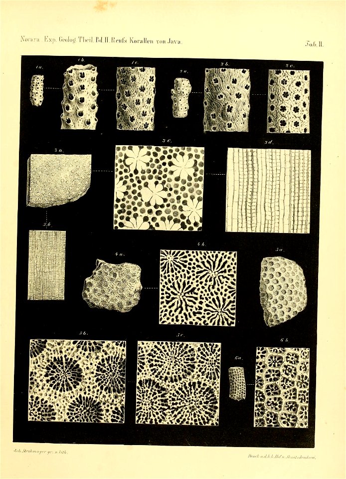 n302_w1150