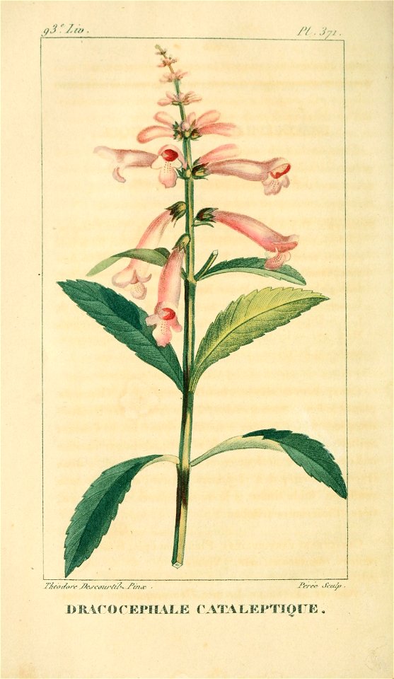 n395_w1150