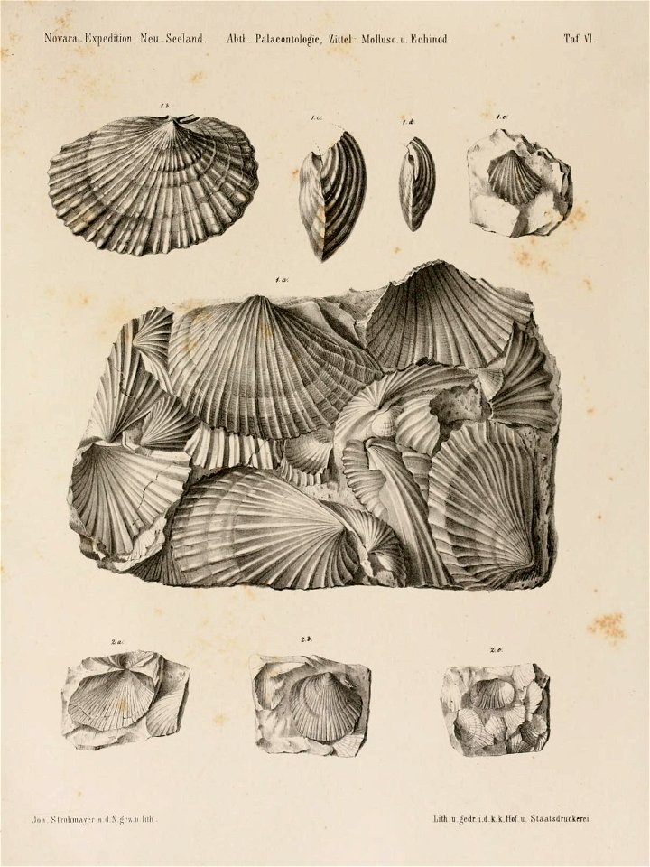 n354_w1150