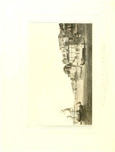 n147_w1150