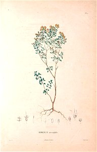 n219_w1150