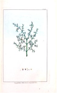 n146_w1150