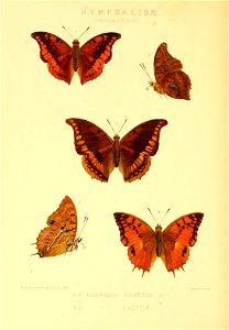 n367_w1150