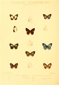 n398_w1150