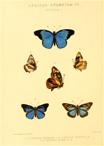 n79_w1150