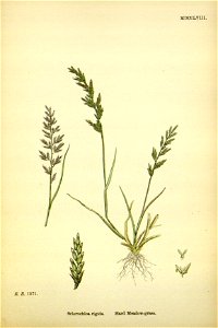 n295_w1150