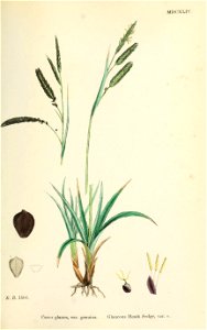 n390_w1150