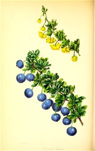 n249_w1150