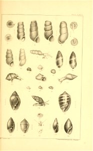n216_w1150