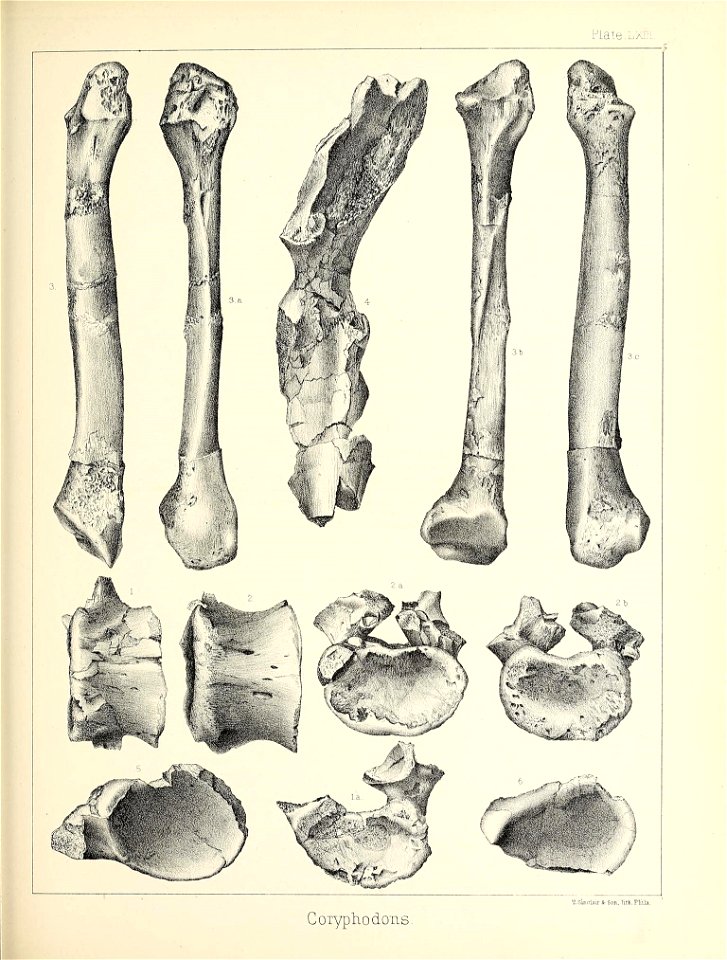 n564_w1150
