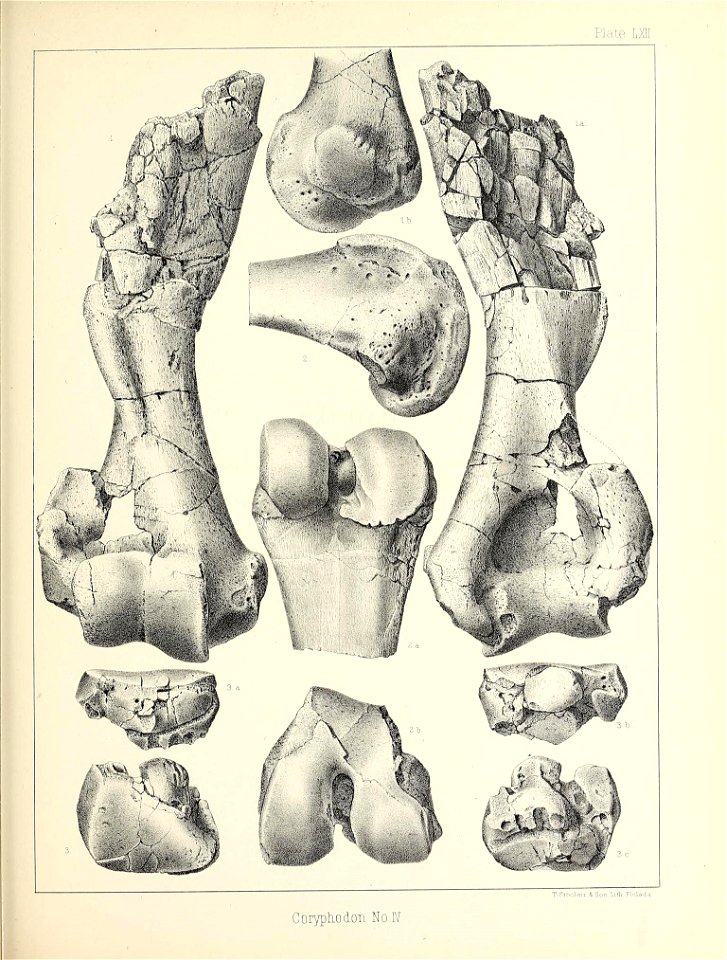 n560_w1150