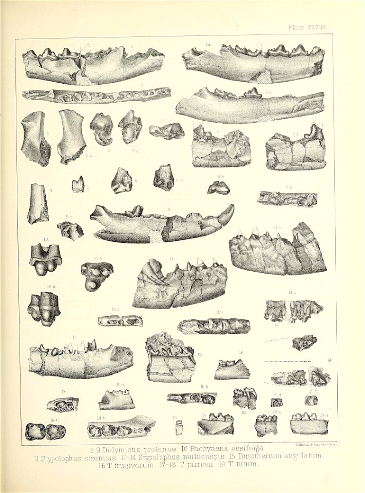 n468_w1150
