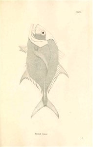 n428_w1150