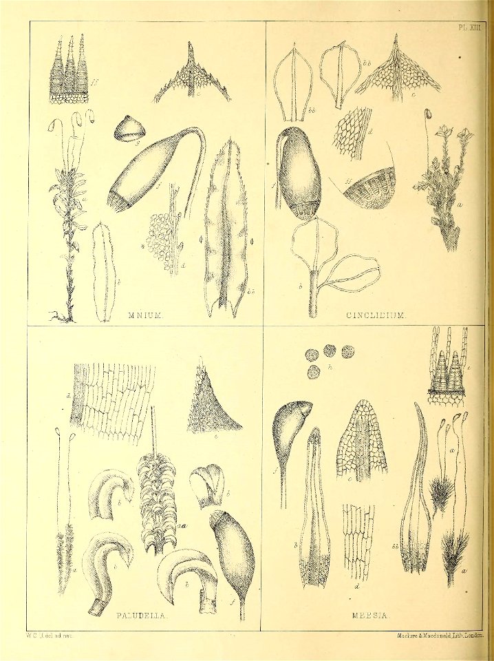 n57_w1150