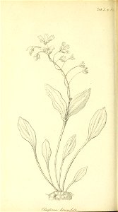 n223_w1150