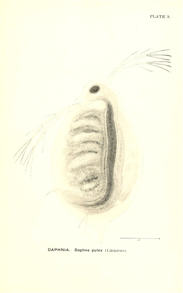 n678_w1150