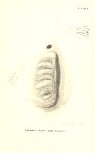 n678_w1150