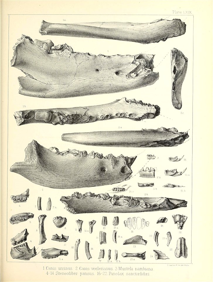 n588_w1150