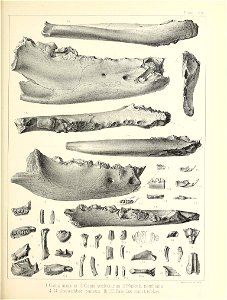 n588_w1150