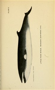 n256_w1150