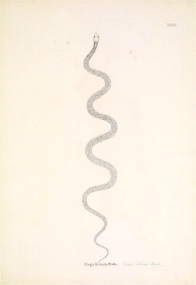 n136_w1150
