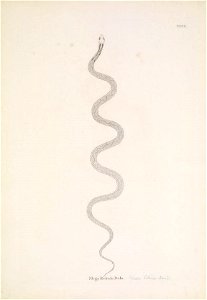 n136_w1150