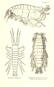 n766_w1150