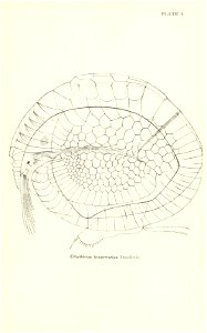n676_w1150