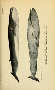 n254_w1150