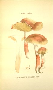 n199_w1150