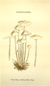 n154_w1150