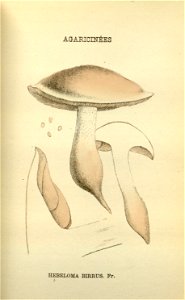 n41_w1150