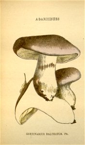 n198_w1150