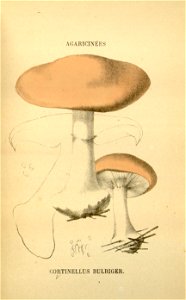 n33_w1150