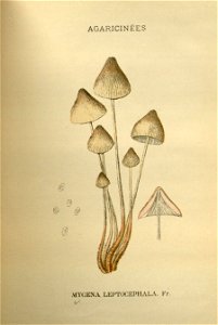 n205_w1150