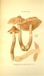 n227_w1150