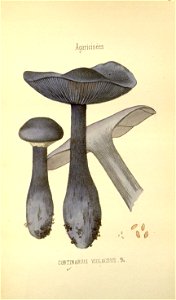 n257_w1150
