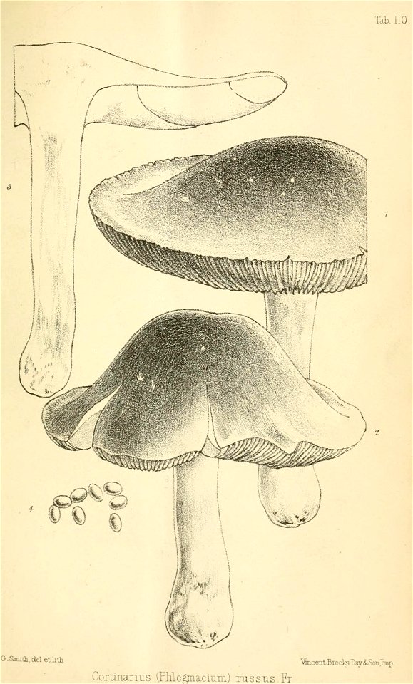 n266_w1150