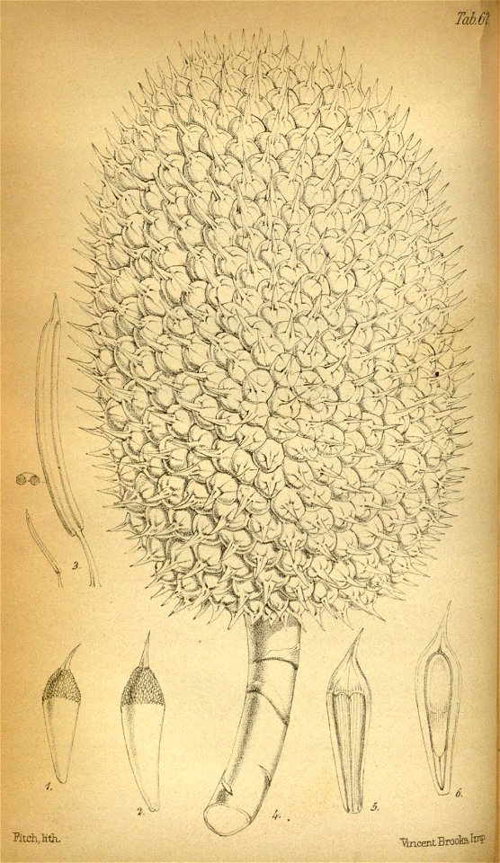 n101_w1150
