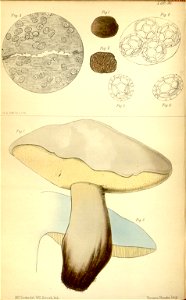 n144_w1150