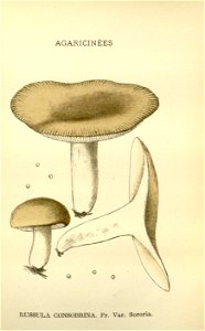 n121_w1150