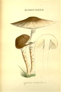 n158_w1150