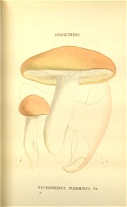 n83_w1150