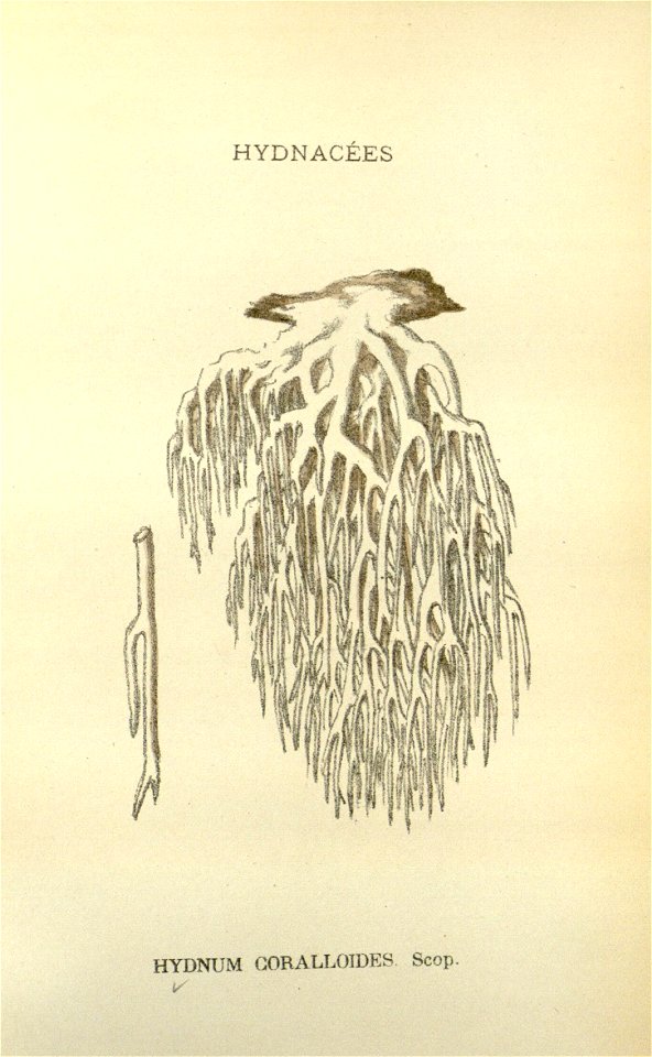 n53_w1150