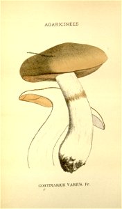 n255_w1150