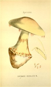 n240_w1150