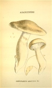 n195_w1150